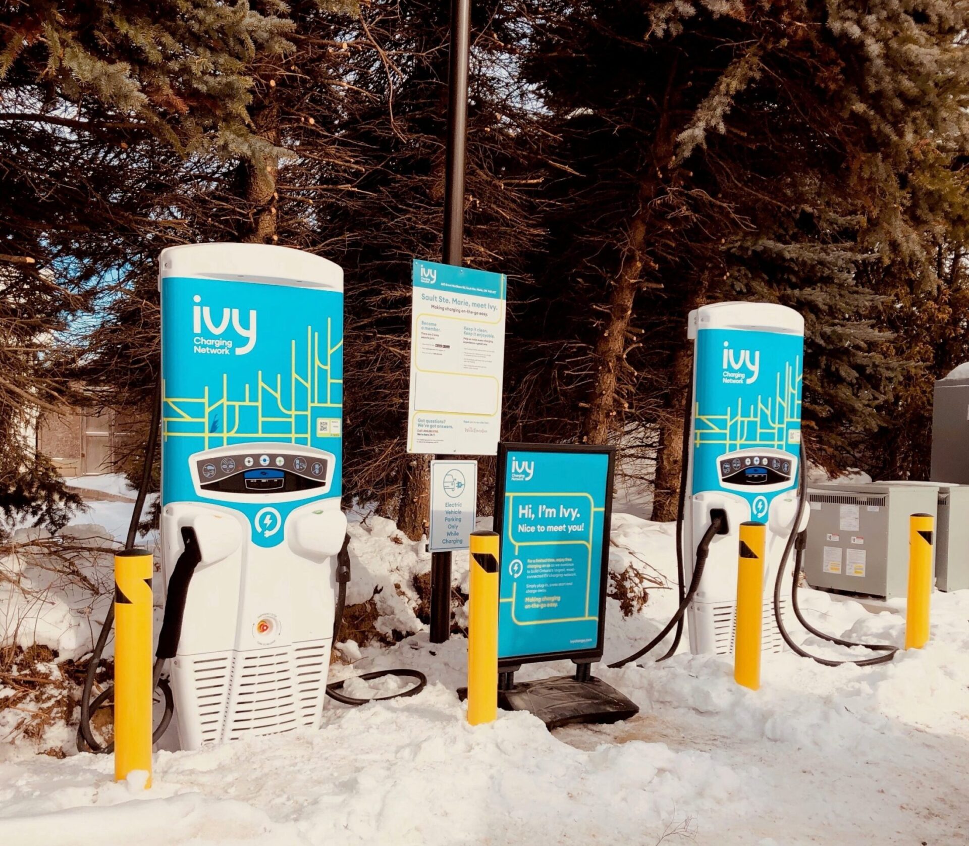 Two Ivy electric vehicle charging stations in a snowy setting with informational signs, surrounded by trees and snow-covered ground. No people present.