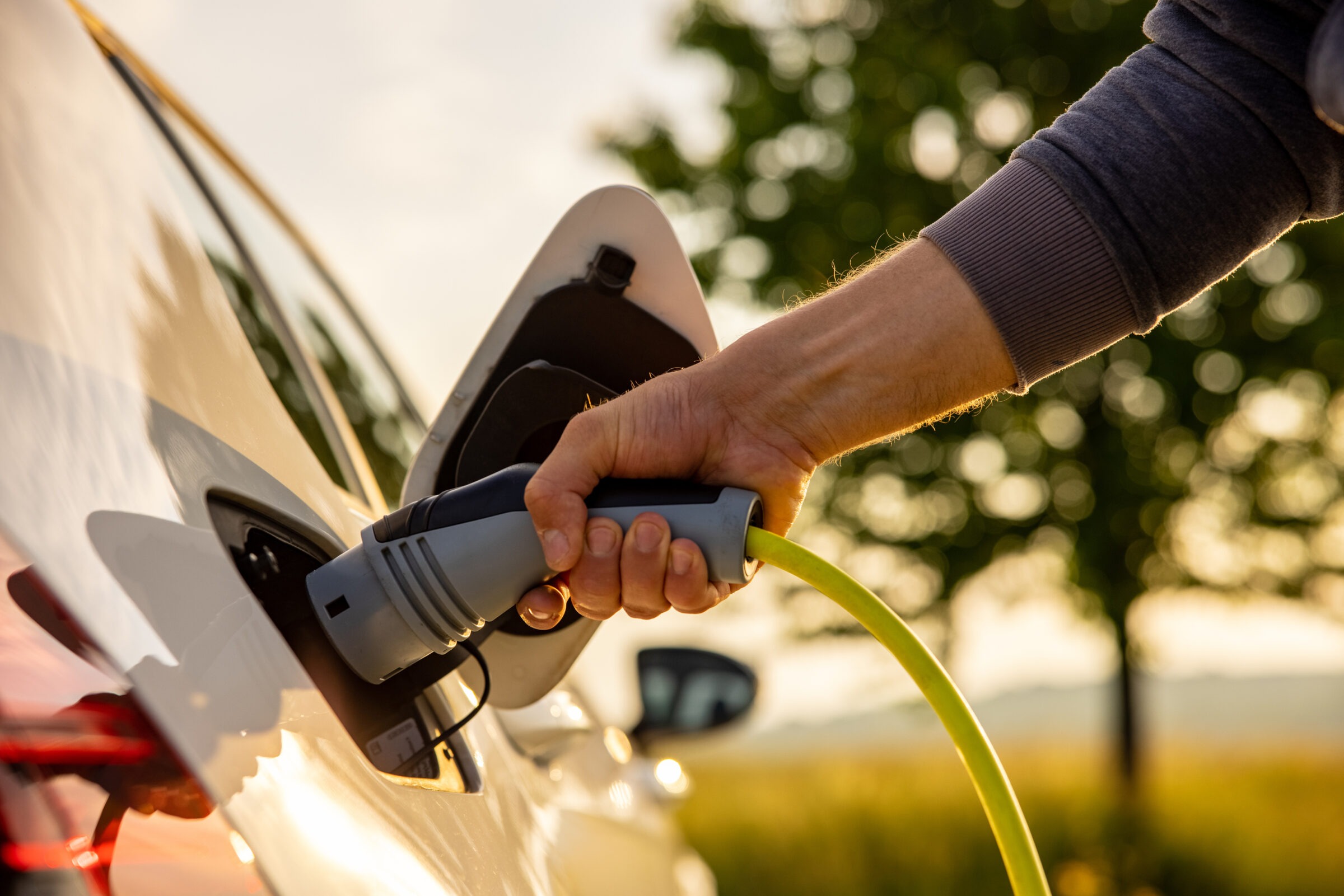 A person plugs an electric car into a charging port outdoors, surrounded by greenery and a blurred tree under a clear sky.