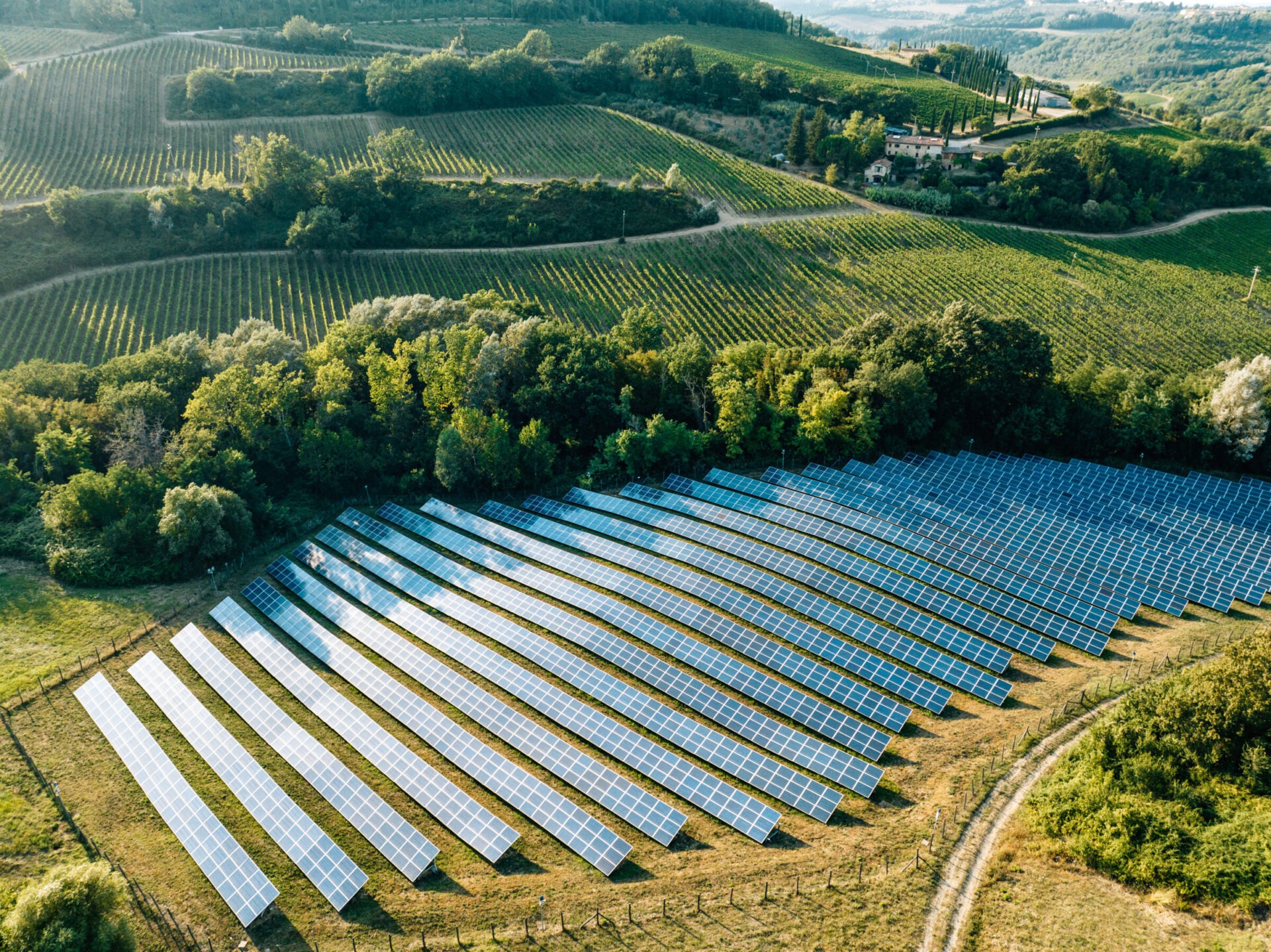 Rows of solar panels are surrounded by lush vineyards and rolling hills, under a clear sky, creating a sustainable and picturesque landscape.